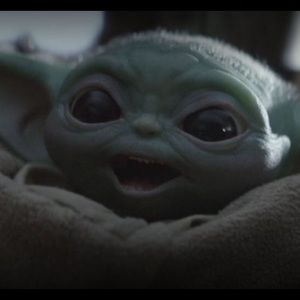 Meet your Posher, Jefferson